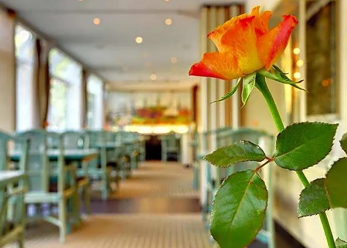 Hotel Senator Amburgo